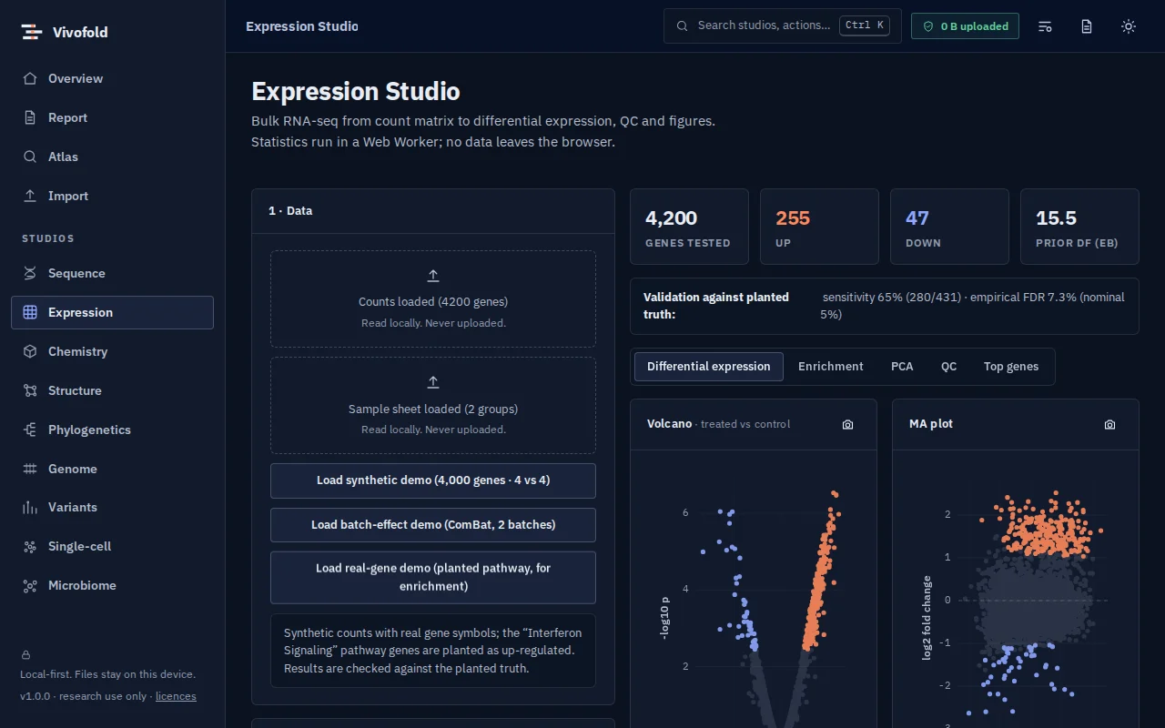 Screenshot of Nayancode Expression Studio